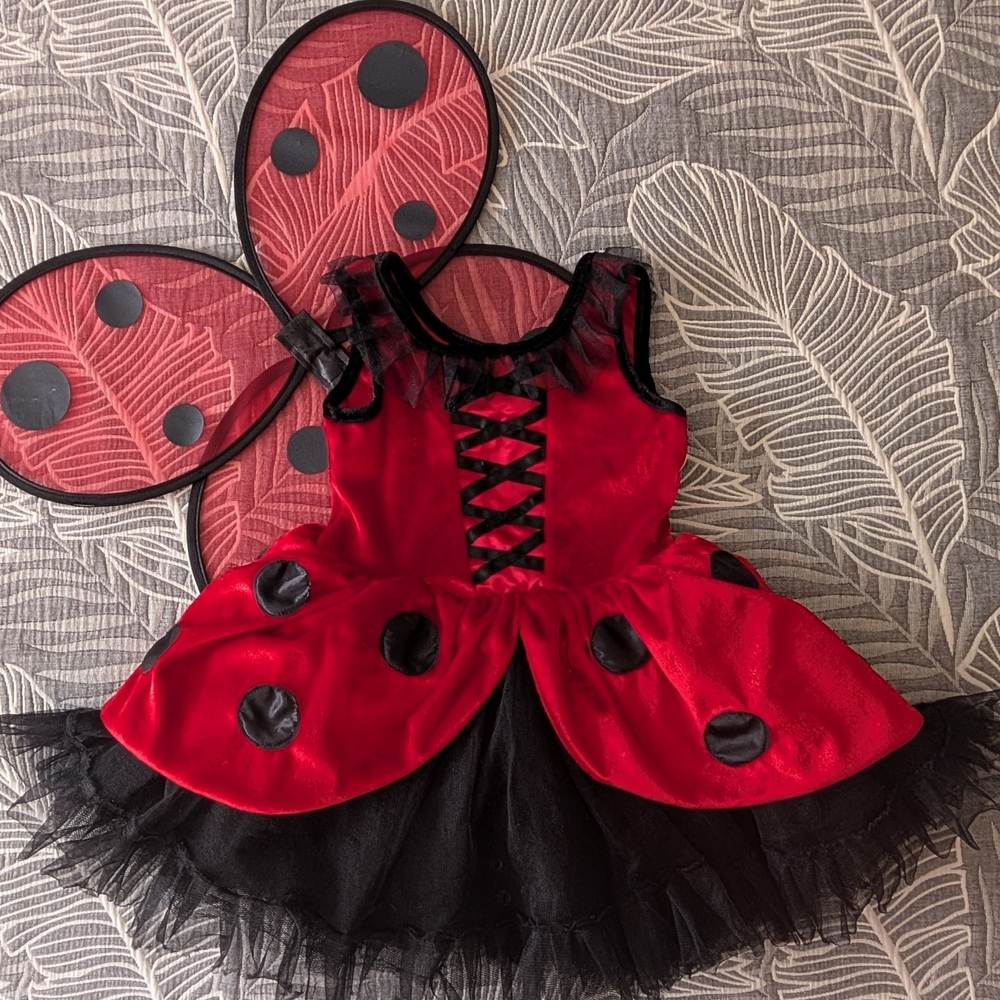 Charming Ladybug Dress-Up Costume for Kids